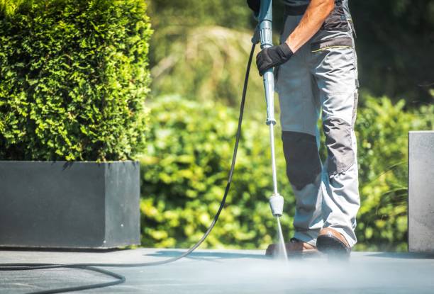Best Gutter Cleaning  in Lavaca, AR